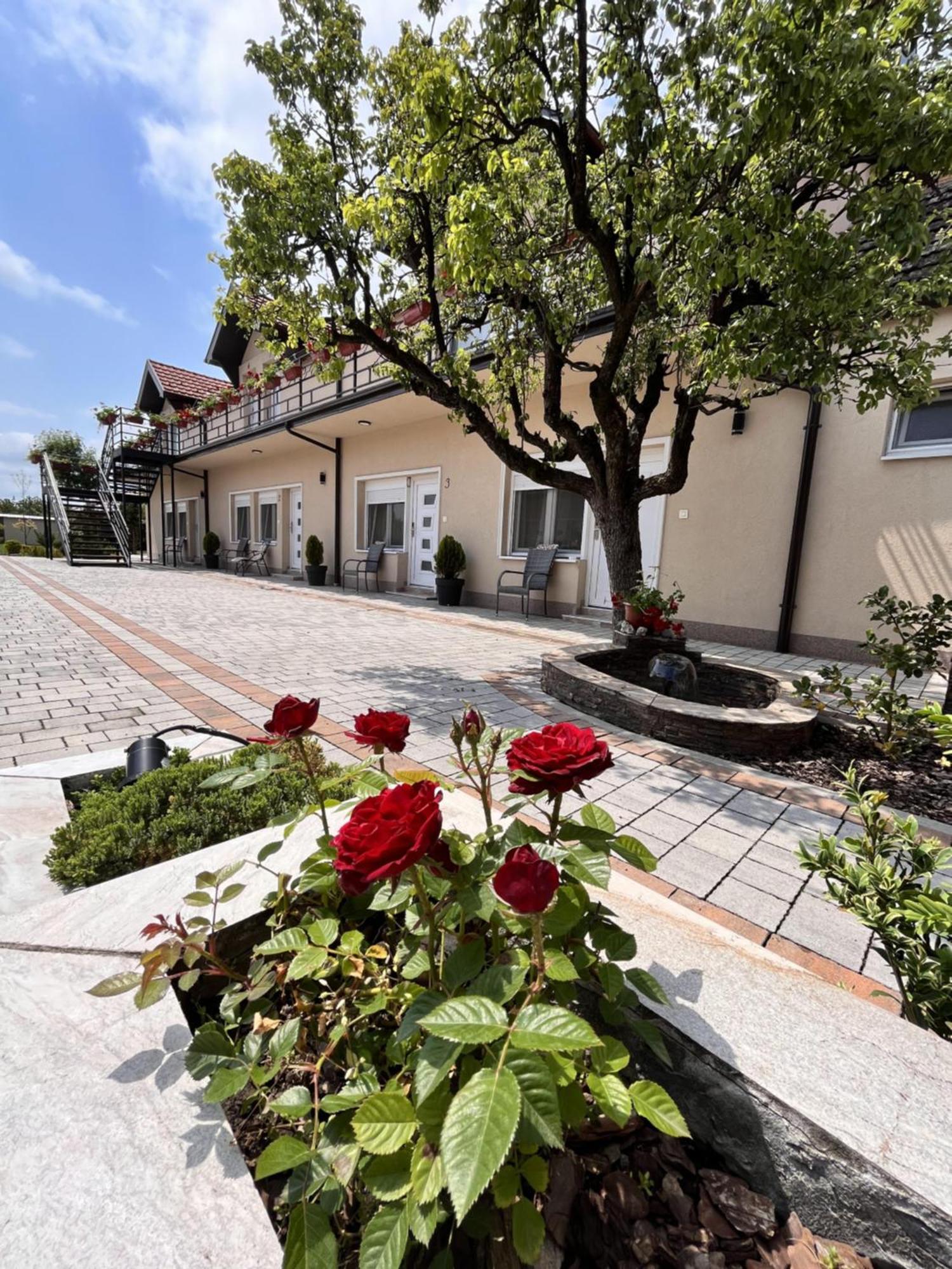 Kovac Residence ซเรนยานิน ภายนอก รูปภาพ